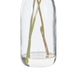 NSIMG-SHA256:dc020cce585b6eb820ea143fe438515098d08ea2dc0501caecd48fbf5449a34b · Isalbi Rogue Kiku in Milk Bottle Ivory