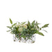 NSIMG-SHA256:49cd86fd0ed0f95b3402dafb366899874f72ca9c217bce821dcb869248707157 · Isalbi Rogue Pincushion Eucalyptus - Esme White & Green