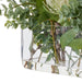 NSIMG-SHA256:de681e1845fd63027f3ec2e92c93aab9580ab4c4d38f84c9fc9e4a0bc5459b89 · Isalbi Rogue Pincushion Eucalyptus - Esme White & Green