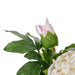 NSIMG-SHA256:8ab83f28cfc942b319af6b87c90370e2122faff51516ad57a3068b1dbf4ab3d2 · Isalbi Rogue Peony Real Touch Sphere Vase White & Pink