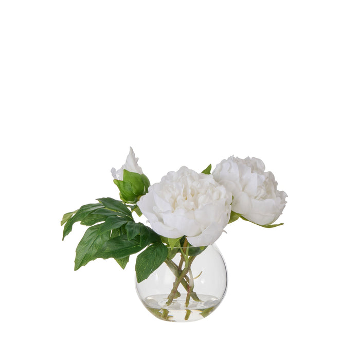 NSIMG-SHA256:73e0f2c820f52ff8fe166720ec63346c03189d9013d53904d921d936590fedbf · Isalbi Rogue Peony Real Touch Sphere Vase White