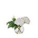 NSIMG-SHA256:73e0f2c820f52ff8fe166720ec63346c03189d9013d53904d921d936590fedbf · Isalbi Rogue Peony Real Touch Sphere Vase White