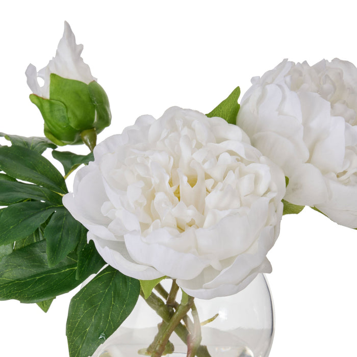 NSIMG-SHA256:8012de8cd573aab9662f7313647547347c1a6dc662301104559755f795d4cac7 · Isalbi Rogue Peony Real Touch Sphere Vase White