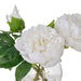 NSIMG-SHA256:8012de8cd573aab9662f7313647547347c1a6dc662301104559755f795d4cac7 · Isalbi Rogue Peony Real Touch Sphere Vase White