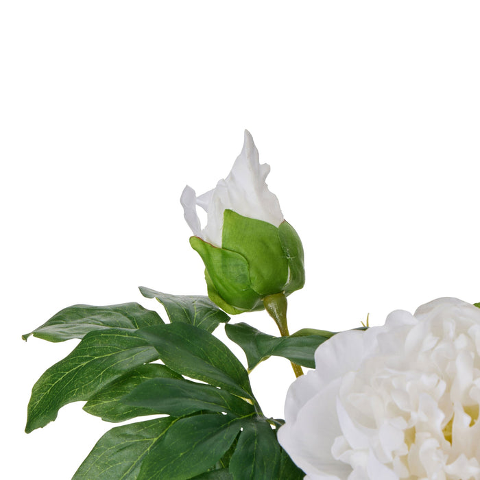 NSIMG-SHA256:ecc50220dc55426f3131c9d60d181ca45dd6d060767d4c8bdb7ecc17e6a4aaee · Isalbi Rogue Peony Real Touch Sphere Vase White