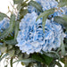 NSIMG-SHA256:faf744b0d233954b3833118adac71a9300bc019ef706bc2337ceb85dfcf5c1cb · Isalbi Rogue Hydrangea Native Mix - Alana Blue & Green