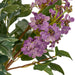 NSIMG-SHA256:d9cd13cfe0af1250674accf53f0630789c4805b501dc83e933ba6f693542c24a · Isalbi Rogue Lilac Dewberry Giselle Vase Purple & Green