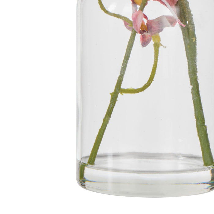 NSIMG-SHA256:1df78fa58c90ee42c5d602f282ba280af0c2ac89dedd05a44789b757808f9ebf · Isalbi Rogue Dancing Orchid - Specimen Burgundy