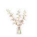 NSIMG-SHA256:3d6f02a417e25853dcca052ae602facdee42c7cfa5297ac0dfb23d81fd292e3a · Isalbi Rogue Dancing Orchid - Specimen Bottle Pink