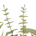 NSIMG-SHA256:3f18c2265d574d2f9a1e74dacb19e598131bbef046d2548ad8a37cb0a62101ae · Isalbi Rogue Protea Kangaroo Paw - Claire Green & Orange