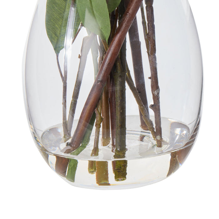 NSIMG-SHA256:d0e6af9d72e6bd832b4ca65ff5d1d2eb997818cef873c2d69761fba96c147ec0 · Isalbi Rogue Protea Kangaroo Paw - Claire Green & Orange