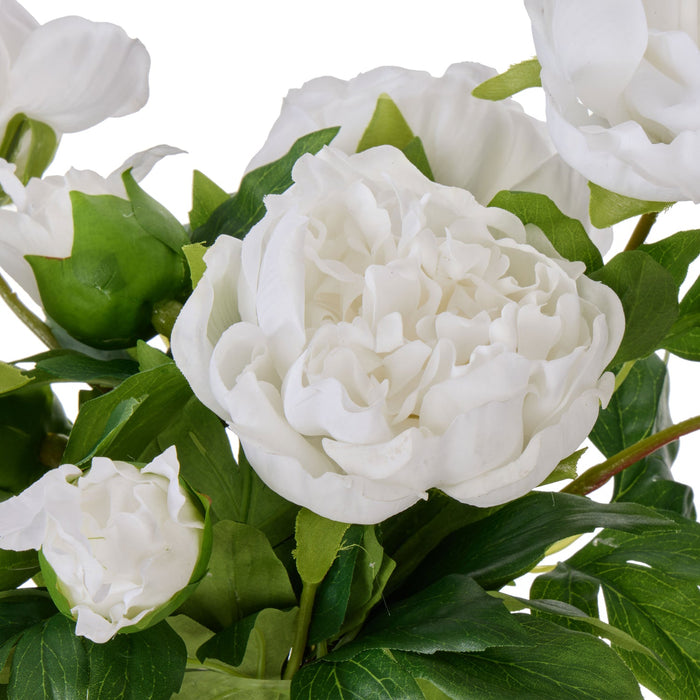 NSIMG-SHA256:efdef74f379999c4f5e0fccfdeb9cd6f05c42e8038efeca9a5cf5ae9ce278ef8 · Isalbi Rogue Peony - Sphere Real Touch White