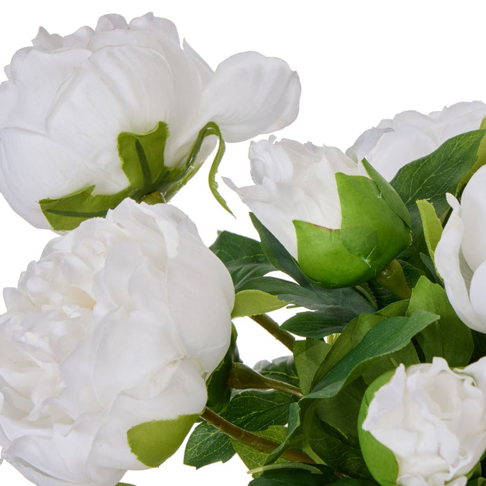 NSIMG-SHA256:5e176ec9b1e6eedd22b55c6a813e266a53f0c4032346a1bc89cc8de4911870f7 · Isalbi Rogue Peony - Sphere Real Touch White