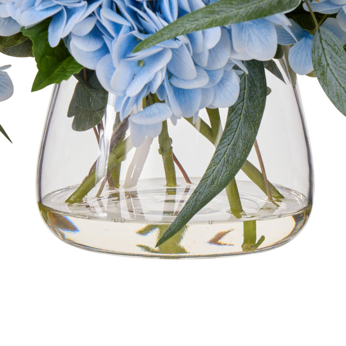 NSIMG-SHA256:b7b9d8680b0cd7fe50bd5bf88dbdf27d6733f519cfd746cac384b64d69d989c3 · Isalbi Rogue Hydrangea Native Mix - Bowl Blue