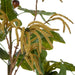 NSIMG-SHA256:6417a8ddc7748a1c03b6b65c521ba99085bd1f5d5142d3b168697ec4bdb3754f · Isalbi Rogue Fig Catkin Mix - Rachel Green & Brown