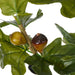 NSIMG-SHA256:1ef67200a29dd3939e2dddf0bac5f125440caccae491866c878819b89ea188e3 · Isalbi Rogue Fig Catkin Mix - Rachel Green & Brown