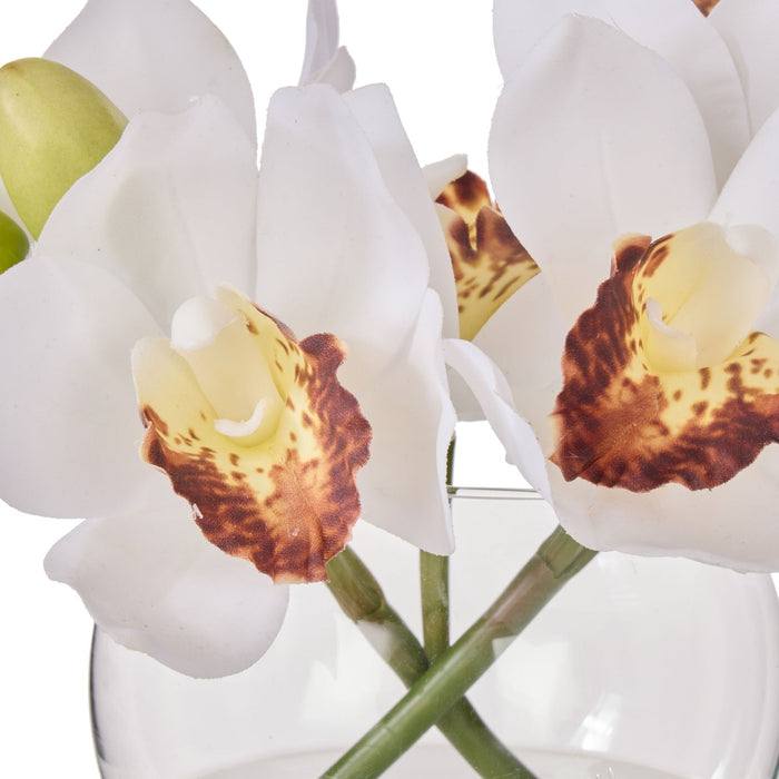 NSIMG-SHA256:a5874ba7aee8d8e02e78ae3930c81711647b18f5f9704edfd82bdaf59b88985b · Isalbi Rogue Cymbidium Orchid & Glass Vase White
