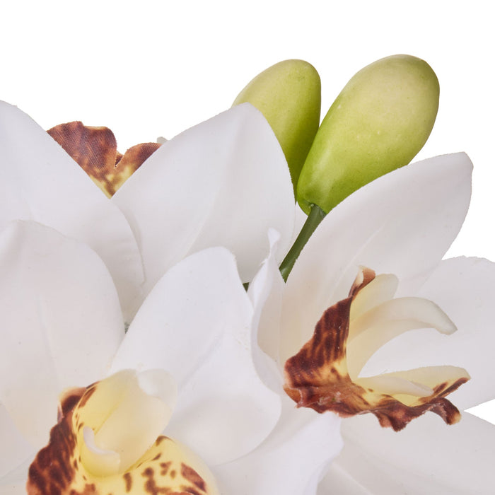 NSIMG-SHA256:0f9b59405dbf00ee7dd03f3368fbdd550f9ebbfdc63a47d3ec1559362b10b471 · Isalbi Rogue Cymbidium Orchid & Glass Vase White