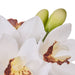 NSIMG-SHA256:0f9b59405dbf00ee7dd03f3368fbdd550f9ebbfdc63a47d3ec1559362b10b471 · Isalbi Rogue Cymbidium Orchid & Glass Vase White