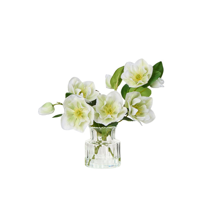 NSIMG-SHA256:499265afb44044588c45f15110e29962fdc01ac59e5b9786d56d1b6e9a193f84 · Isalbi Rogue Helleborus - Glass Vase White
