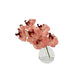 NSIMG-SHA256:53c66b579af12f4dd8d2bf9dffbe9bd750b6e23dcb187a3e3c234ff86caf7148 · Isalbi Rogue Phalaenopsis - Glass Vase Pink