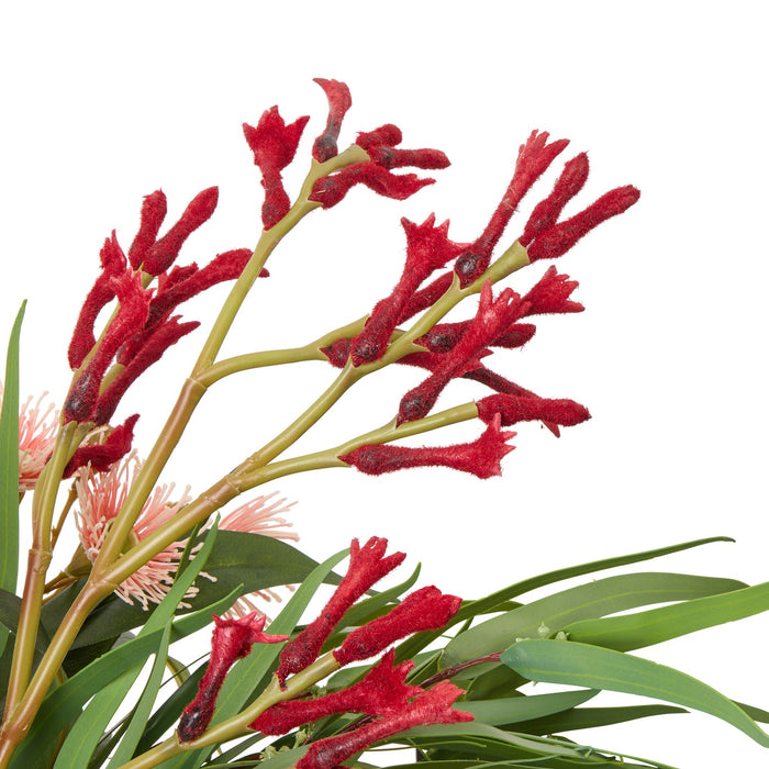 NSIMG-SHA256:39e86a2d0ad8b56841c1826ca8a279db75f699057cf25fcba08bc8667aa21387 · Isalbi Rogue Native Banksia Mix - Rachel Vase Multicolour
