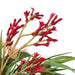 NSIMG-SHA256:39e86a2d0ad8b56841c1826ca8a279db75f699057cf25fcba08bc8667aa21387 · Isalbi Rogue Native Banksia Mix - Rachel Vase Multicolour