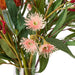 NSIMG-SHA256:7ce35bf07b1e7f19dbe6a6815f2956627275b010eda4ab9b7aeb47f86bfb4f71 · Isalbi Rogue Native Banksia Mix - Rachel Vase Multicolour