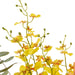 NSIMG-SHA256:14d90fe178ecad462dc8b25aeb637eb25d737fe14f9c76da2b6ab399a847c27a · Isalbi Rogue Banksia Wattle Mix - Alana Vase Yellow & Green