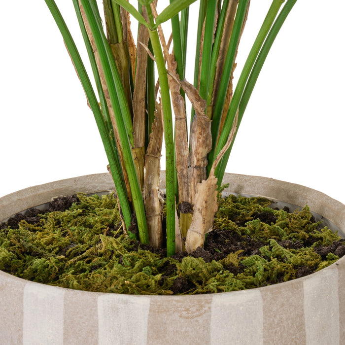 NSIMG-SHA256:fa22a25a025d21f2e81a85b064f8bf283e1c8dd8620d0bade6c48187a9e3810a · Isalbi Rogue Palm Tree - Antibes Green