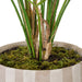 NSIMG-SHA256:fa22a25a025d21f2e81a85b064f8bf283e1c8dd8620d0bade6c48187a9e3810a · Isalbi Rogue Palm Tree - Antibes Green