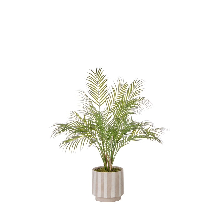 NSIMG-SHA256:349340004f05b6b0e550adbbb9cf2ef603eccf4d96685daa70f9c59187456c49 · Isalbi Rogue Palm Tree - Antibes Green