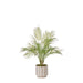 NSIMG-SHA256:349340004f05b6b0e550adbbb9cf2ef603eccf4d96685daa70f9c59187456c49 · Isalbi Rogue Palm Tree - Antibes Green