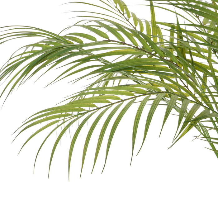 NSIMG-SHA256:02b61def97401487b1a5fc5f2f16b2721a5aa29387a3aed02310e1775de82a1a · Isalbi Rogue Palm Tree - Antibes Green