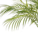 NSIMG-SHA256:02b61def97401487b1a5fc5f2f16b2721a5aa29387a3aed02310e1775de82a1a · Isalbi Rogue Palm Tree - Antibes Green