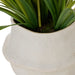 NSIMG-SHA256:267ded955e45c9a25bea141f5db8e30b737e49f15b5a2109df79ed0e7d1e03e7 · Isalbi Rogue Dendrobium Plant - Maliah Burgundy & Green