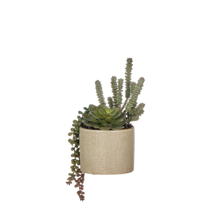 NSIMG-SHA256:03c10c8beb44b020f16371c7c910d0eb749fa75dec453b9f6267beebda0cea8e · Isalbi Rogue Succulent Garden - Reims Green & Burgundy