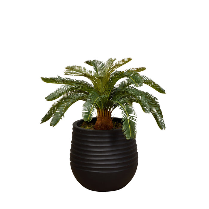 NSIMG-SHA256:4e01b20231d15336a6194743dfd387f7c58882b9edf717f80366cc47ef4ad919 · Isalbi Rogue Cycas Plant - Ryker Planter Green & Brown