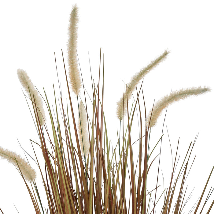 NSIMG-SHA256:109b37805bfee6c6e62988d671e3f75083364a0b7e09dc202a7f98288e400df8 · Isalbi Rogue Grass Plant - Garden Pot Brown