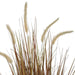 NSIMG-SHA256:109b37805bfee6c6e62988d671e3f75083364a0b7e09dc202a7f98288e400df8 · Isalbi Rogue Grass Plant - Garden Pot Brown