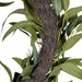 NSIMG-SHA256:92bdac76626131dbe2a6acdbde40c576c3e5dd6cc1590ad83db2e66b57a328bc · Isalbi Rogue Eucalyptus Wreath Green