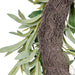 NSIMG-SHA256:7bfdd67200370283a603862a78f1ce51799fd817714fdab8e7fc8ce3d529c7e8 · Isalbi Rogue Olive Wreath Green