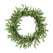 NSIMG-SHA256:36ddca1c02a704adb2bd1de86690406294ff1b1ac80e74c3d5e22d364d66a1c9 · Isalbi Rogue Olive Wreath Green
