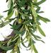 NSIMG-SHA256:1aaad028cd32f24ec27ff15bfd0a01892040429ee038d94d8888a167443d43e9 · Isalbi Rogue Olive Wreath Green