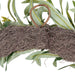 NSIMG-SHA256:3bd066d033b2fdb5292d1a9ab88c5c49fe6835aee40c7ef1d1347721338df9b7 · Isalbi Rogue Olive Wreath Green