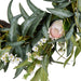 NSIMG-SHA256:34169d768ed65754ca9db18df4418cdd25ec0f8160d91f8ab792ea78b6c6b9e1 · Isalbi Rogue Pitaya Eucalyptus Wreath Cream & Green