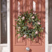 NSIMG-SHA256:d098079ba59f9ce182977b69444ae9e3c576291da8d5dad64ee24b9682c3447d · Isalbi Rogue Pitaya Eucalyptus Wreath Pink