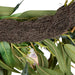 NSIMG-SHA256:8202685aab94455031752a07dc06fa6b8aeff12270c7a28c3060d7dd1c49feb1 · Isalbi Rogue Pitaya Eucalyptus Wreath Pink