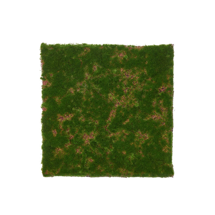NSIMG-SHA256:ca841366d83f1cb26dff261d9b48e50d98a6f49dd83bce172cf2d6f2ed8a584a · Isalbi Rogue Moss Mat Green