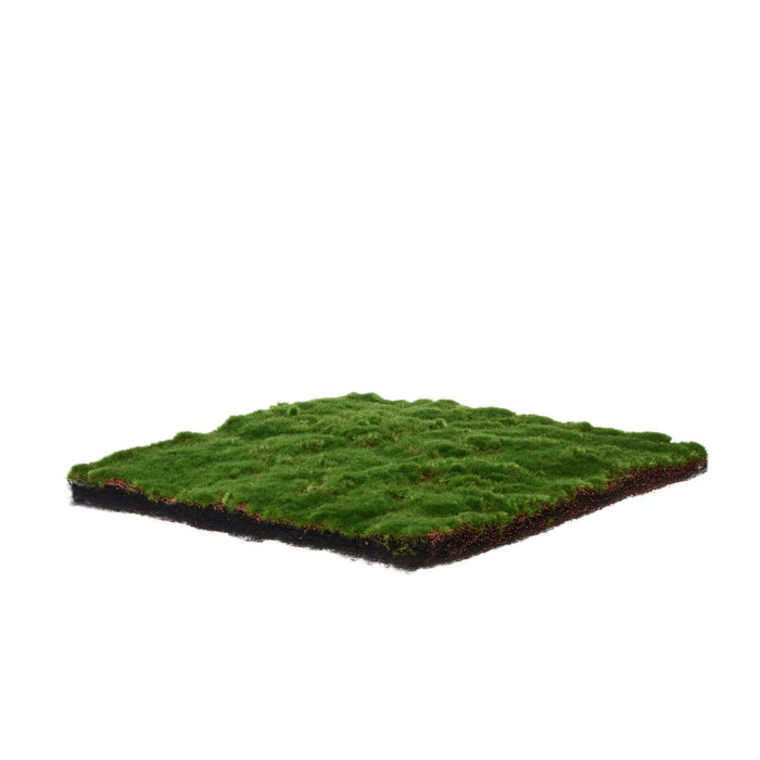 NSIMG-SHA256:05e625f2d069ee4221247f1f53db125293cfbb4f46811c058a97ea1305694253 · Isalbi Rogue Moss Mat Green